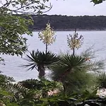 Jacuzzi Retreat In * Banjol
